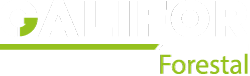 Logo Galifor